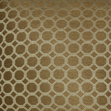 Dax Fabric
