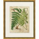 Crackled Fern Cluster I Painting