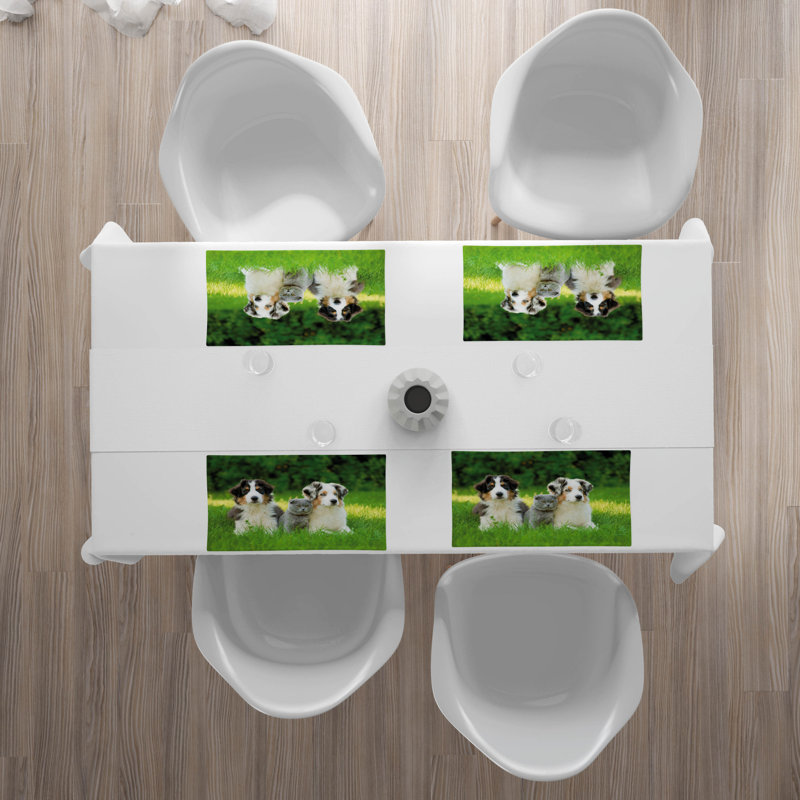 Récapitulatif 18,5" dog