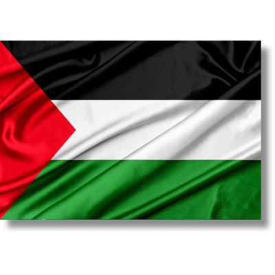 Palestine Frameless Tempered Glass Wall Art - 40" x 60"