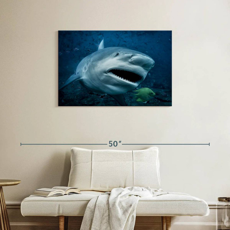 Brampt Bull Shark In Action, 24" H x 36" W