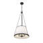 Luminaire suspendu 5 pouces Michiel de 18 po Michiel-1528556096