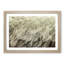 Feathers - Picture Frame Graphic Art Print-55730984-55730989