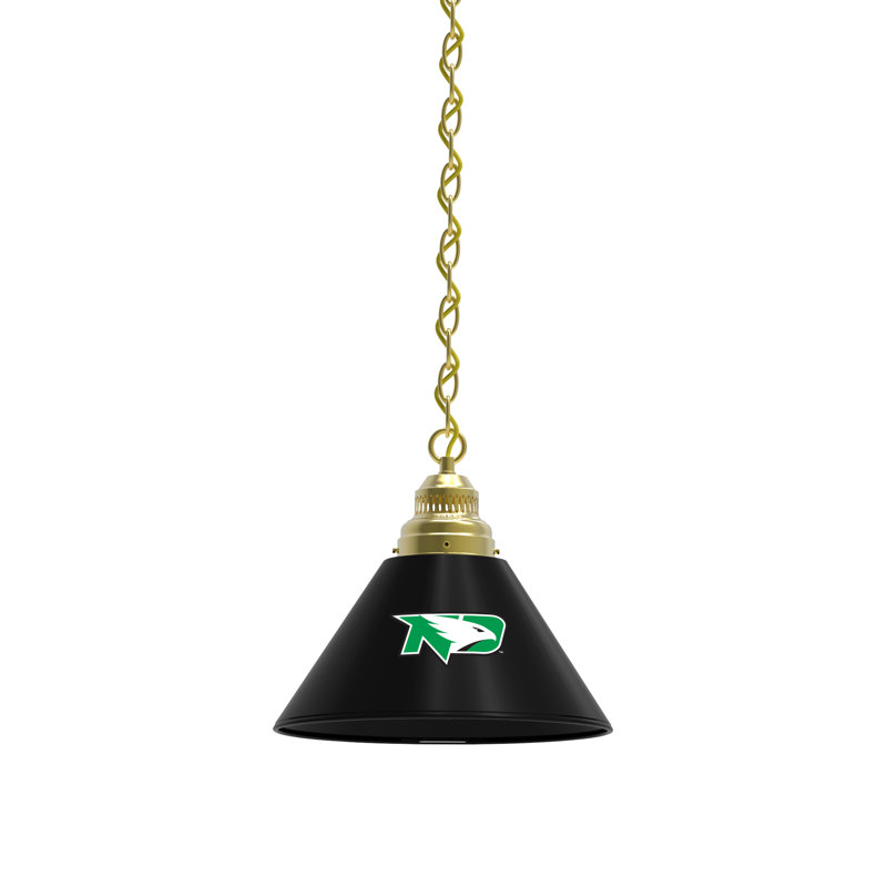 1 - Light Single Pendant, Brass, North Dakota