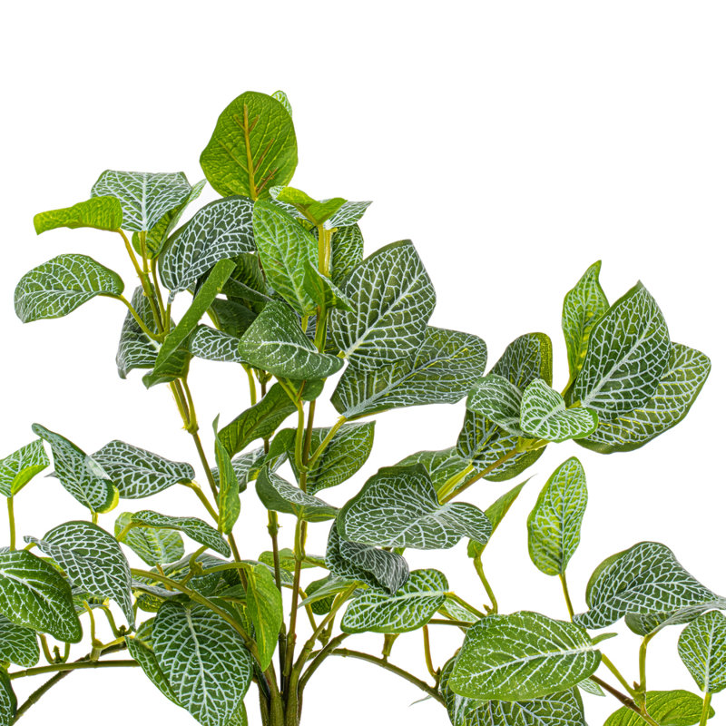  29" Green Artificial Fittonia Bush