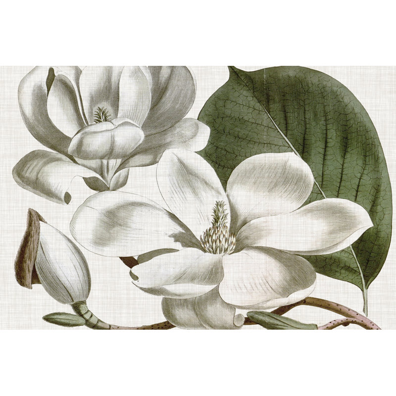 «Curtis Magnolia I», peinture sur toile, H 32 po x l 48 po