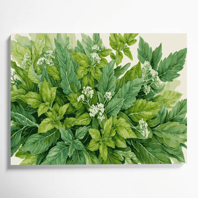 Art mural botanique sur toile vert Origan, H 12 po x l 18 po