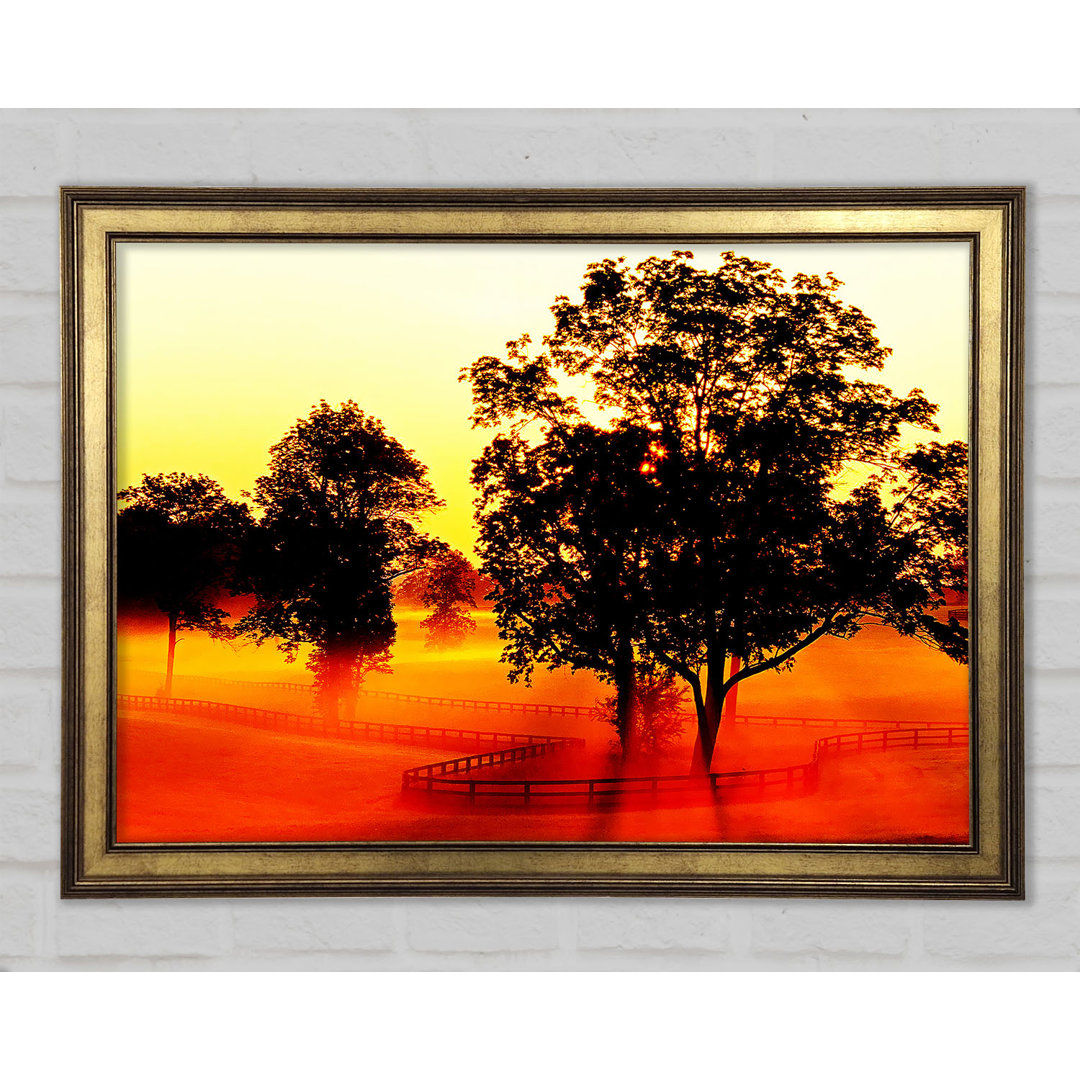 Orange Treeline Mist Gerahmter Druck