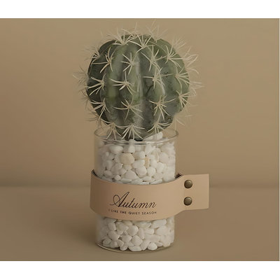 7.87'' Cactus Plant