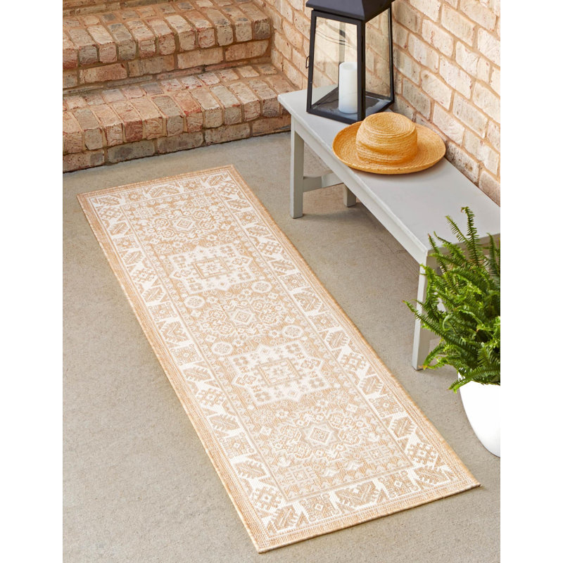 Danera Oriental Indoor / Outdoor Rug, Runner 2' x 6'