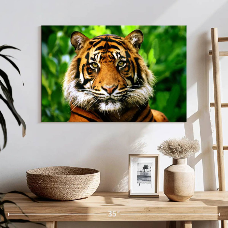 Sumatran Tiger Gaze, 8" H x 12" W