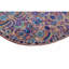 Oriental Area Rug