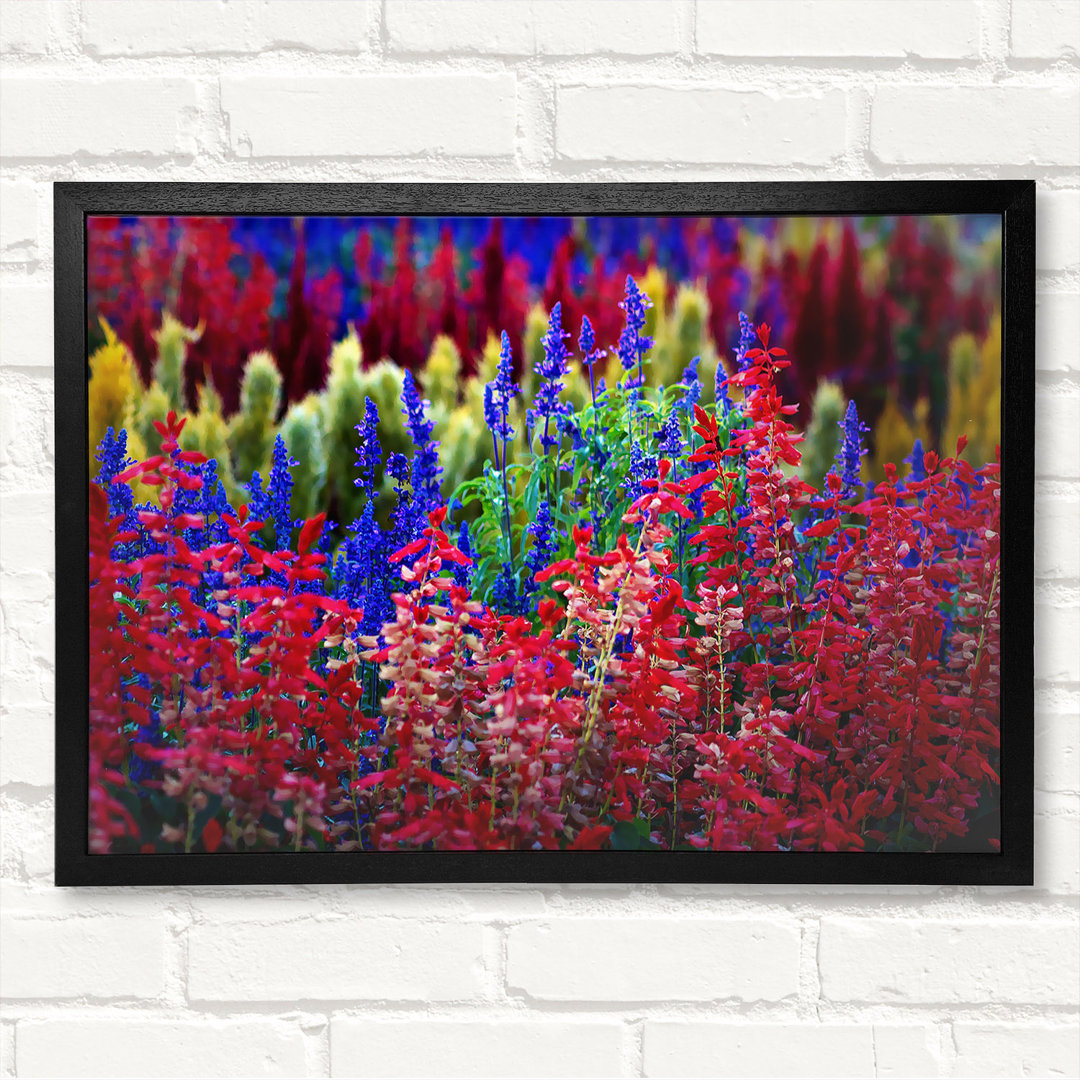 Gerahmtes Leinwandbild Rainbow Flowers