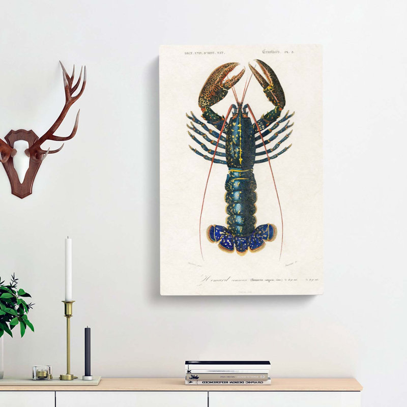 Crimson Crawfish by Charles D Orbigny - Wrapped Canvas, 50cm H x 35cm W x 3cm D