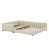 Beige est en rupture de stock