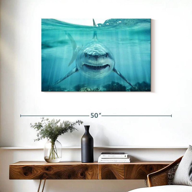 Brampt Predatory White Shark, 24" H x 36" W