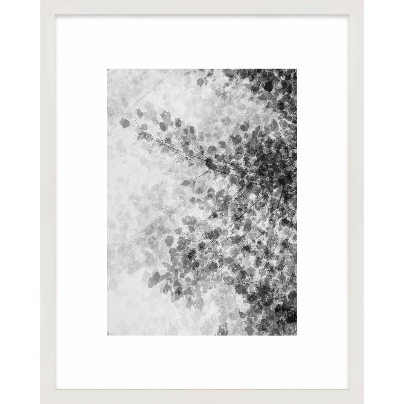Pattern and Shadow Print by Laura Zimmerman, 30" H x 24" W, White