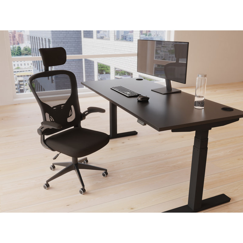 Milda Polyester Blend Executive Chair with Headrest, Black