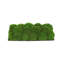 Moss Preserved in Oblong Planter-2127730665