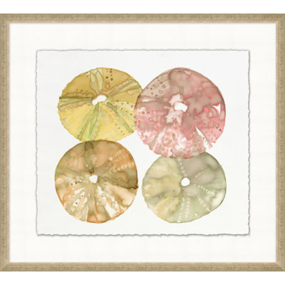 Urchin Quad 2 - Peinture encadrée sur papier