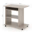 Rawald Computer Desk-2082366160