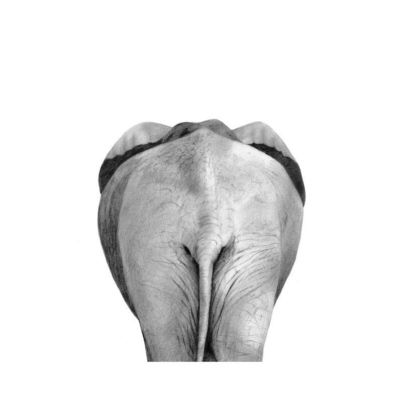 Back Up Plan II by Victoria Borges - Wrapped Canvas Print, 30.48 cm H x 30.48 cm W