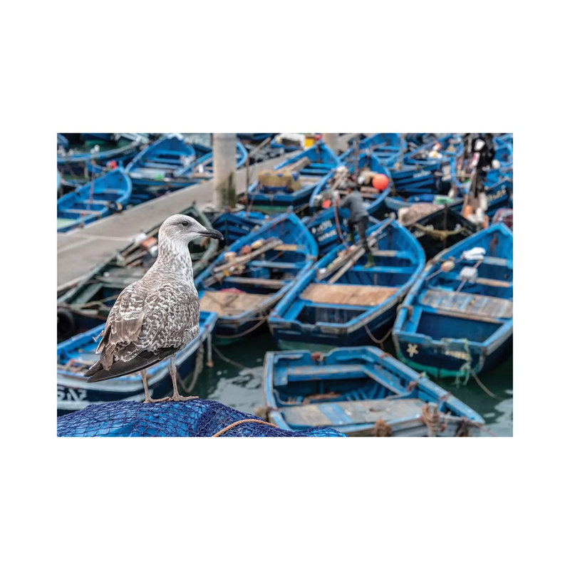 Africa, Morocco, Essaouira. Close-up of Seagull and Moored Boats. 1 Piece Wrapped Canvas Wall Art