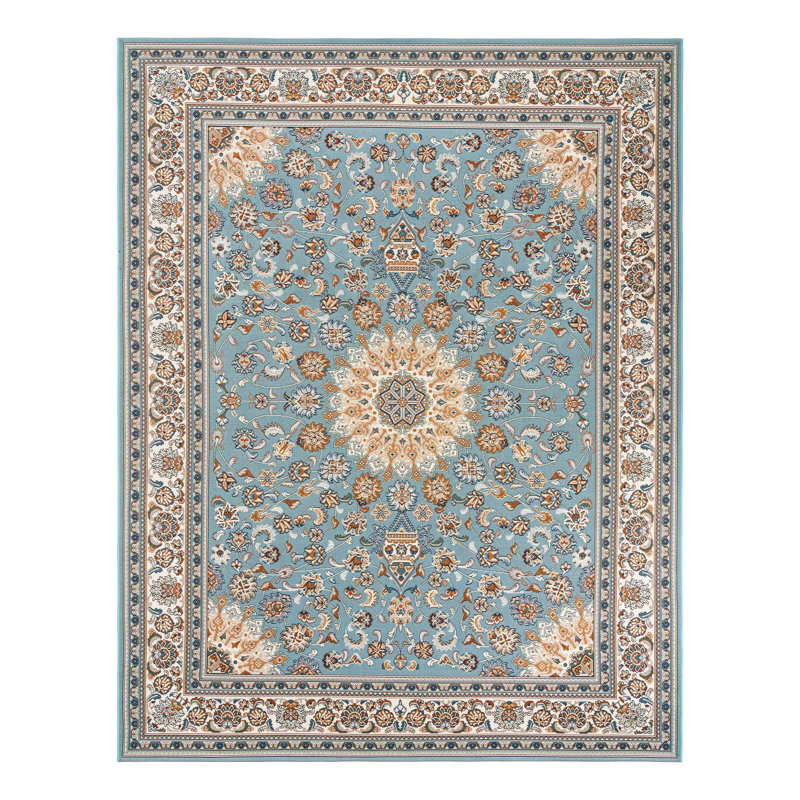 Indoor/Outdoor Traditional Area Rug, Rectangle 7'10" x 10'