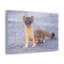 Art mural majestueux belette-1708865622