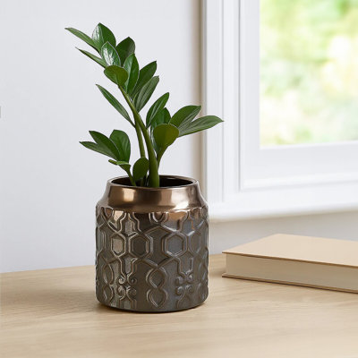 Lawler Ceramic Cachepot