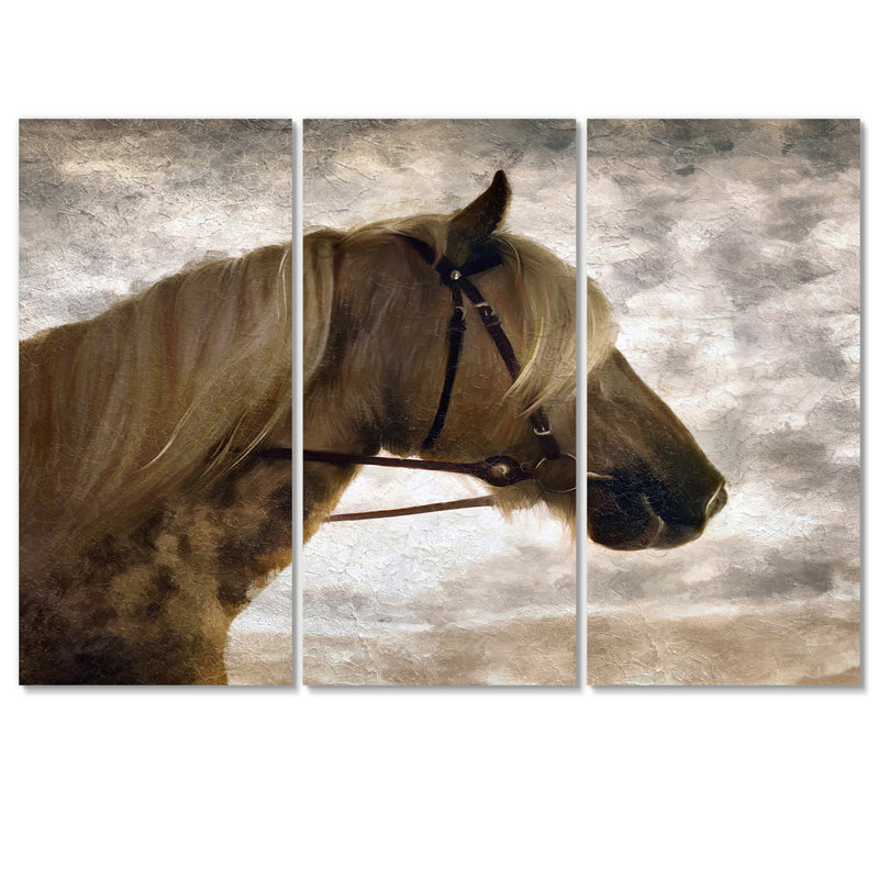 Portrait de cheval andalou - reproduction d'art sur toile traditionnelle, H 32 po x l 48 po x P 1 po