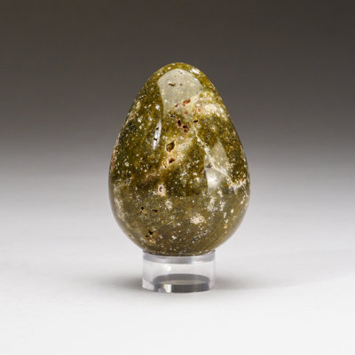Genuine Polished Ocean Jasper Egg (0.4475 Lbs)
