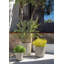 Demi Series Round Planter Set of 3-97707130