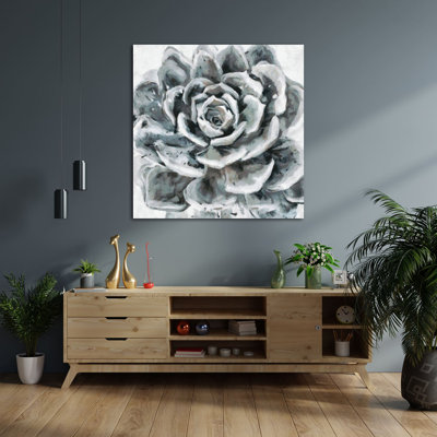 " Cereus Sempervivum "