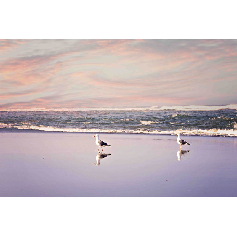2 Seagulls by Sylvia Cook - Wrapped Canvas Print, 76 cm H x 114 cm W x 3.81 cm D