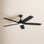 Lise 60'' 5 Blade Ceiling Fan with LED Light Kit