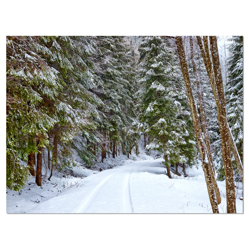 «Winter Forest», reproduction d'art sur toile, route enneigée dans la forêt, H 40 po x l 60 po, Toile tendue