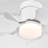 Junilla 21'' Ceiling Fan with LED Lights