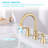 Widespread 2-handle Bathroom Faucet with Drain Assembly-87426666