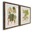 Feuilles antiques III - ensemble de 2 reproductions d'art sur papier encadré-2095188293-2095188290