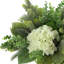 Arrangement de vacances Jeydy hortensia, pin et eucalyptus