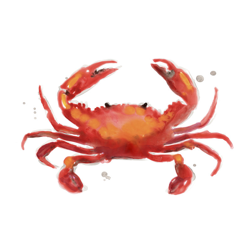 Crab Cameo I 1 Piece Painting on Canvas, 81 cm H x 122 cm W, Black Floater Framed