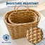 Dakota Fields Decorative Basket