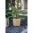 Pot Planter