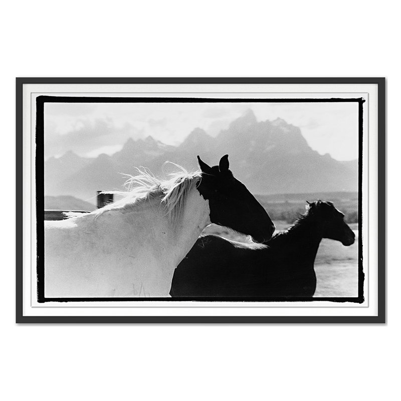 Letting Go Print by Raab, Amy, Black Single Picture Framed, 30'' H x 45'' W