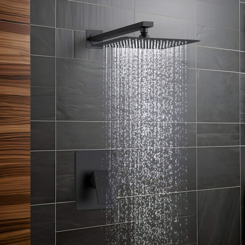 Système de douche cubique à pression équilibrée à fonction simple avec valve brute, Noir mat