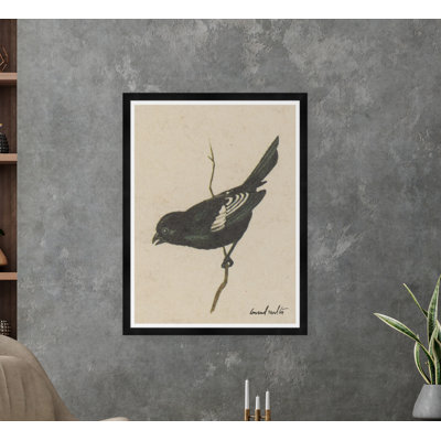 Moulton Collection " Lark Bunting "