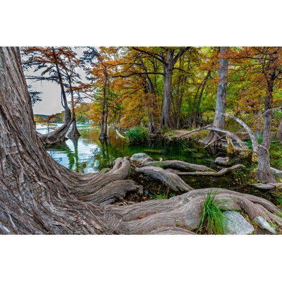Ameswood Garner State Park, Texas - photographie sur toile tendue