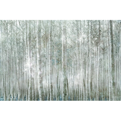 " Birch Trees " by Bluebird Barn
