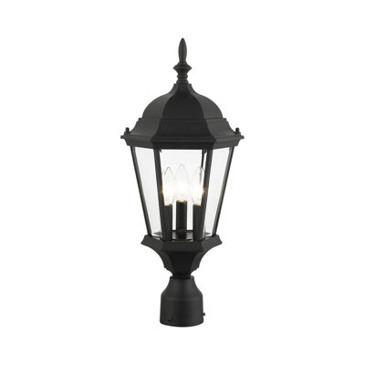 Lantern Head